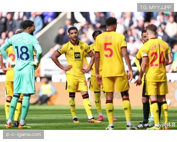 谢菲联重返英超开启新征程，无限潜能蓄势待发