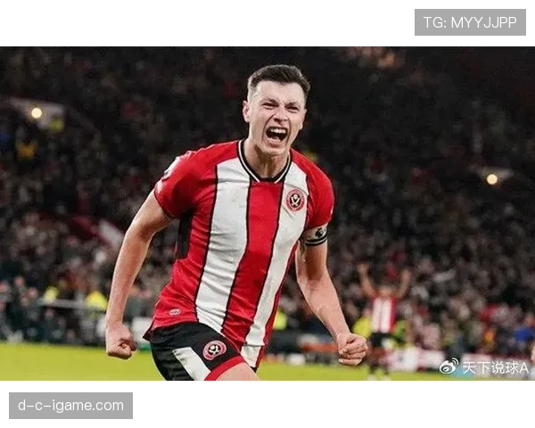 米特罗维奇闪耀英超，锋线火力全开助富勒姆强势回暖